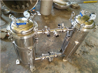 Parallel single bag filter